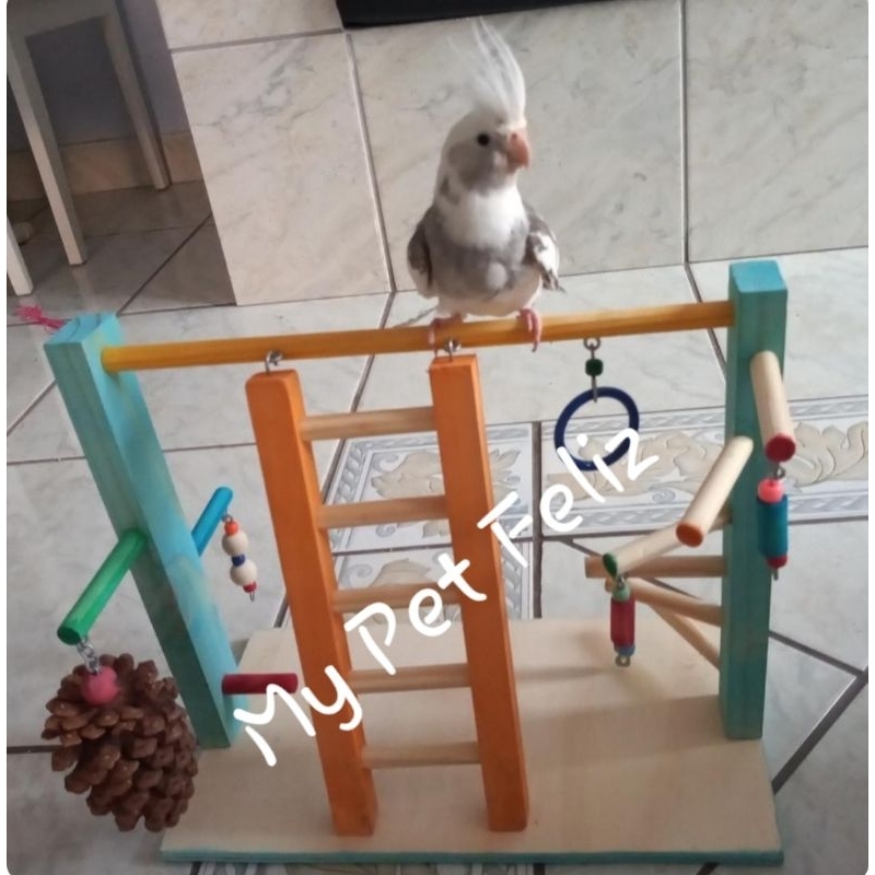 My Pet Feliz Mod6A colorido — foto 1 da galeria do anúncio